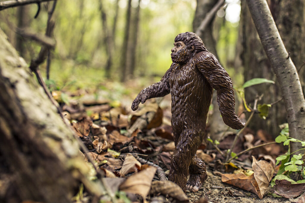 Affenmensch Bigfoot: Mehr als ein Mythos?