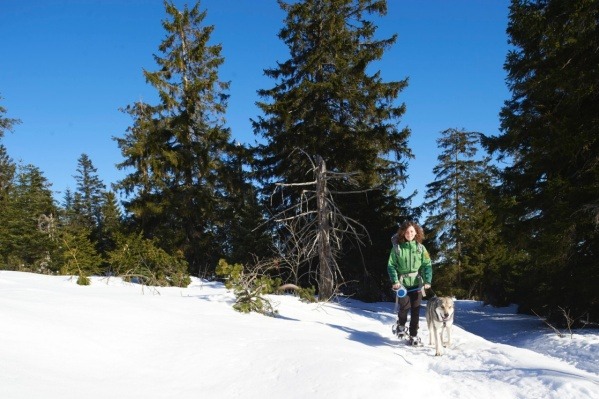 Slow Down: Die Natur im Energiesparmodus