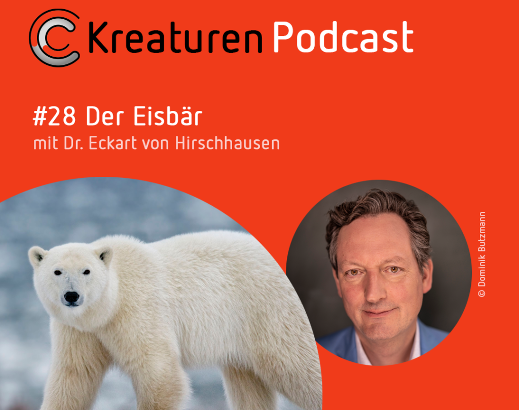 Kreaturen-Podcast Folge 28: Der Eisbär