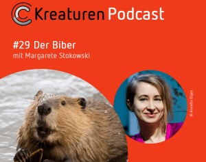 Kreaturen-Podcast Folge 29: Der Biber