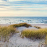 Herbst an der Ostsee erleben: Sanddünen mit Gras