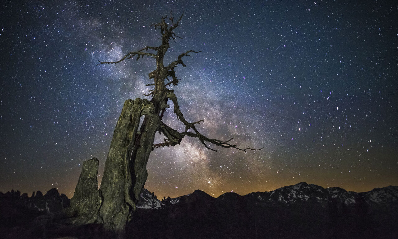 Wie viel wiegt ein perfektes Foto?