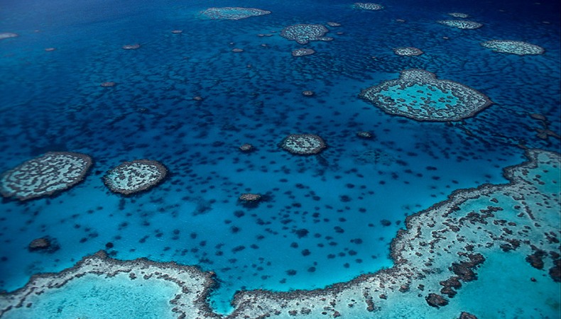 Naturwunder Great Barrier Reef
