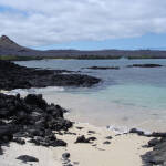 Galápagos – die Arche Noah im Pazifik