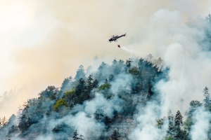 Waldbrand: So entsteht ein Feuer im Wald