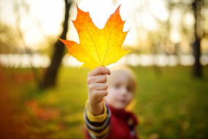 Zehn Gründe, warum man sich auf den Herbst freuen kann