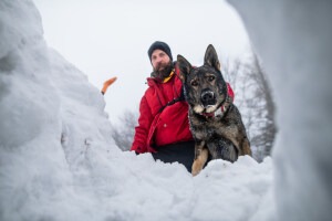 Kalte Rettungsnasen: Wie Lawinenhunde ihren Job lernen