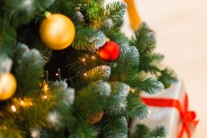 Die Tanne im Wohnzimmer: Warum stellen wir Weihnachtsbäume auf?