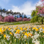 Wenn der Frühling so richtig loslegt