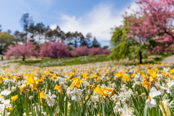 Wenn der Frühling so richtig loslegt