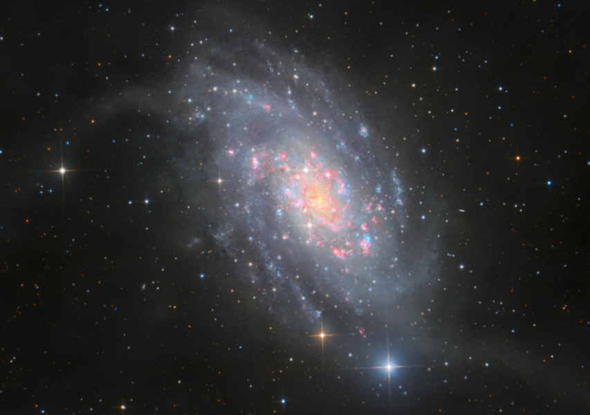 Bild der Woche: das Inseluniversum NGC 2403