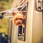 Eine Umfrage der Welttierschutzgesellschaft e. V. hat ergeben, dass in diesem Jahr über 90 Prozent der Urlauber, die ein Haustier mit in die Ferien nehmen, einen Hund mit an Bord haben. Mit diesen generellen Infos und Recherchetipps wird der gemeinsame Urlaub für Frauchen, Herrchen und Hund garantiert erholsam und erlebnisreich.