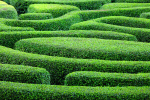 Verschlungene Wege: Warum faszinieren uns Labyrinthe?
