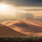 Wüste: blühendes Leben in totem Gelände