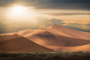 Wüste: blühendes Leben in totem Gelände