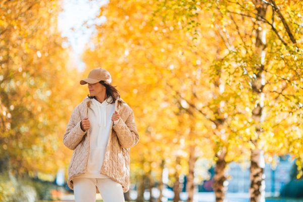 Warum verlieren Bäume im Herbst ihre Blätter?